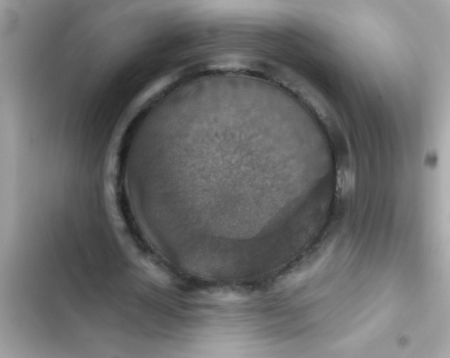 X0000102410724200808152004