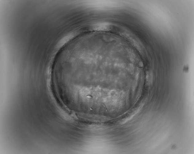 X0000102410725200808152004