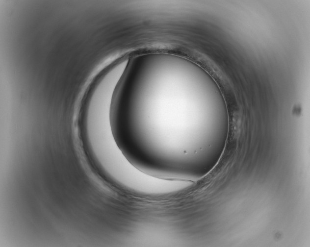 X0000102410726200808152004