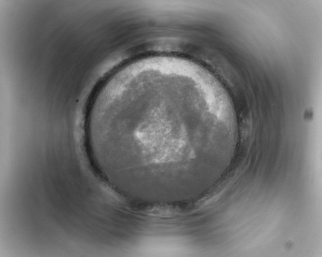 X0000102410727200808152004