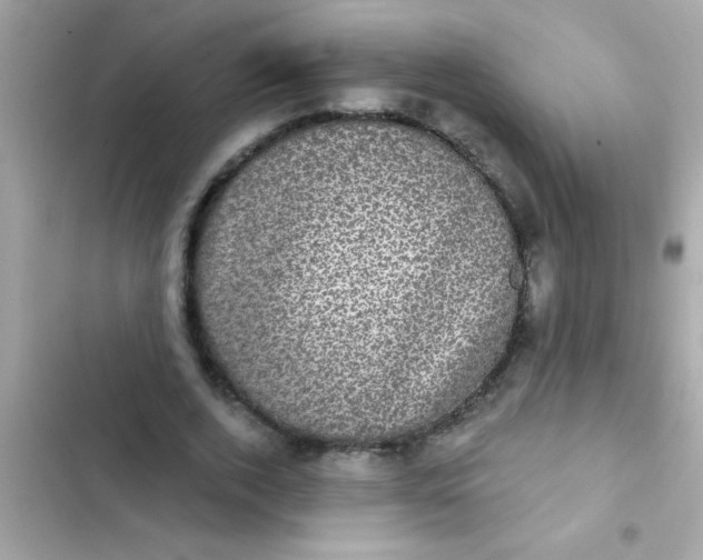 X0000102410728200808152004