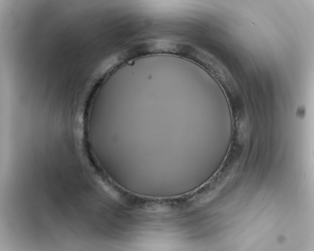 X0000102410729200808152005