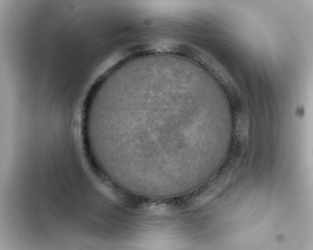 X0000102410730200808152005