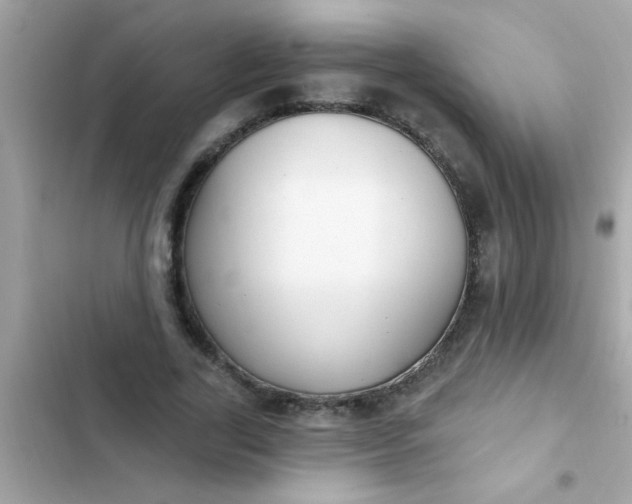 X0000102410731200808152005