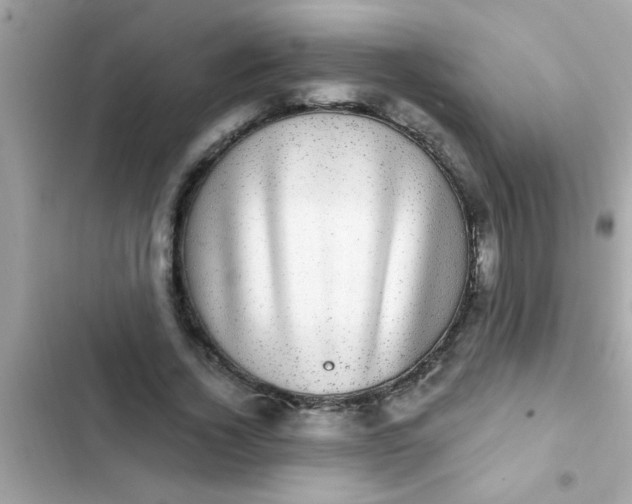 X0000102410732200808152005