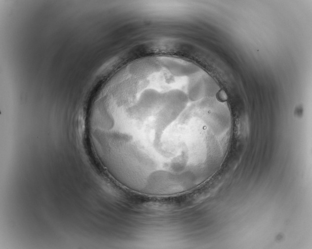 X0000102410733200808152005