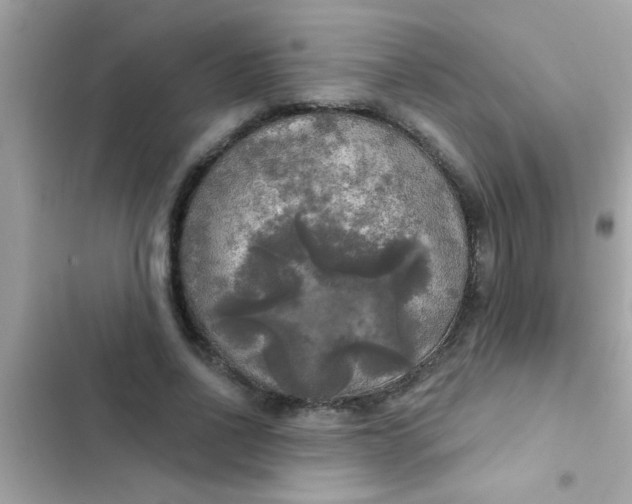 X0000102410734200808152005