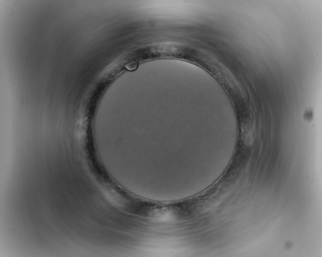 X0000102410735200808152005