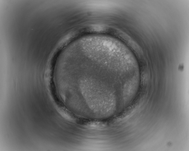 X0000102410736200808152005