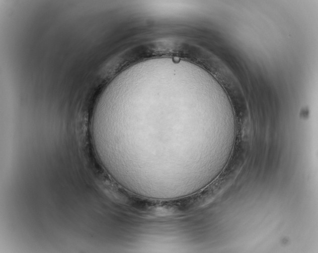 X0000102410737200808152005