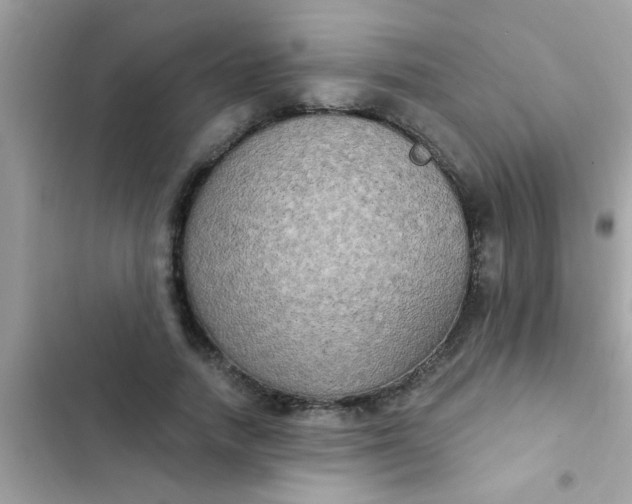 X0000102410738200808152005