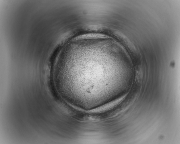 X0000102410739200808152005