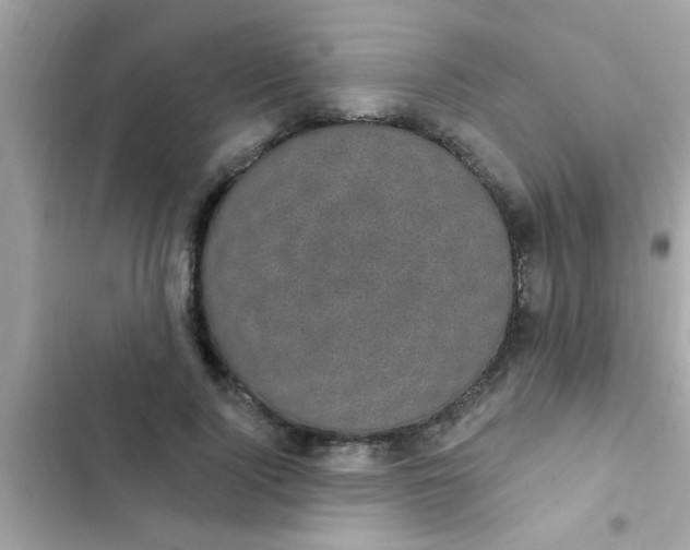 X0000102410740200808152005