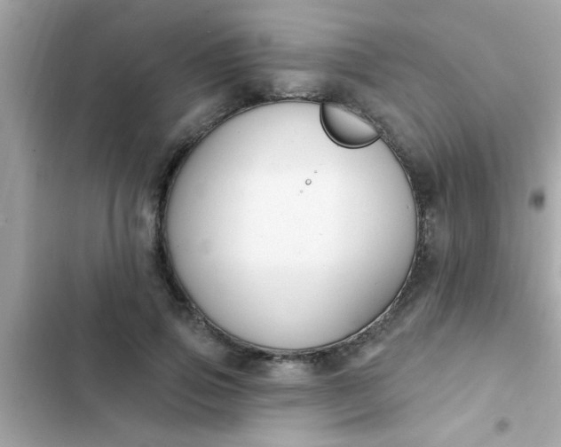 X0000102410741200808152005