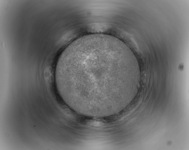 X0000102410743200808152005