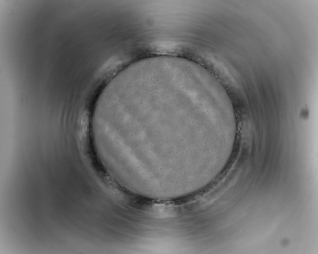 X0000102410744200808152005