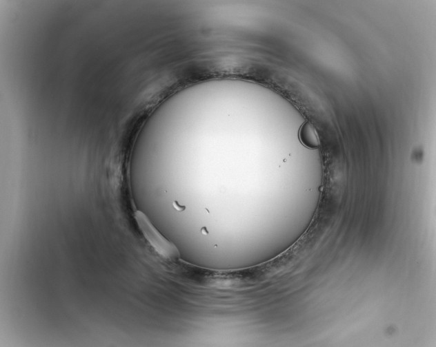 X0000102410746200808152005