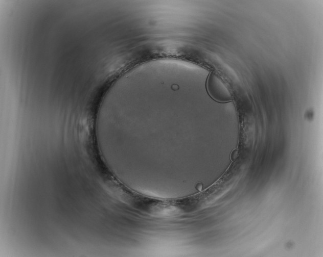 X0000102410747200808152005