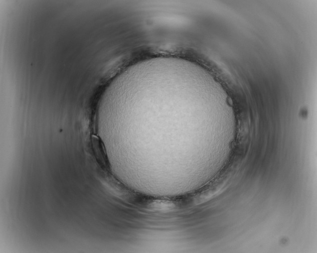 X0000102410749200808152005