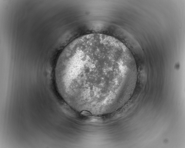 X0000102410750200808152005