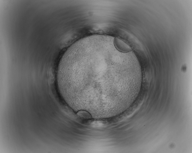 X0000102410751200808152005