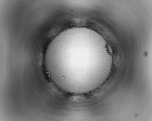 X0000102410752200808152005