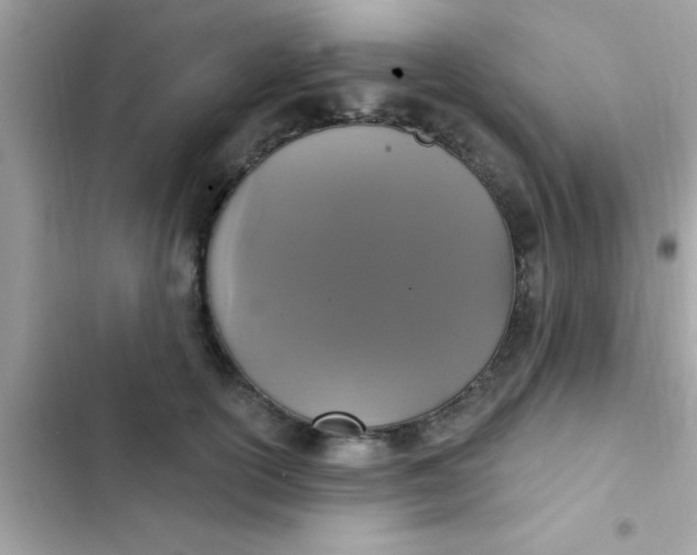 X0000102410754200808152005