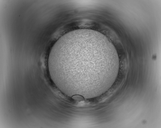 X0000102410755200808152005