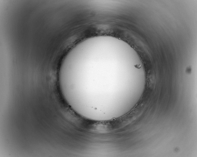 X0000102410756200808152005