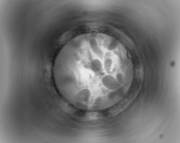 X0000102410757200808152005