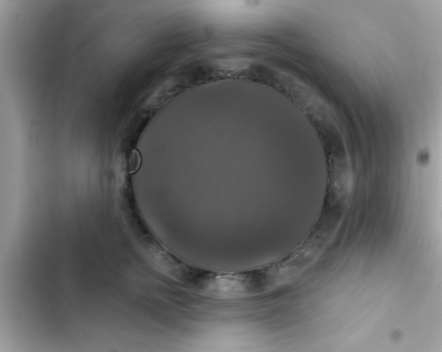 X0000102410758200808152005