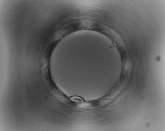 X0000102410759200808152005