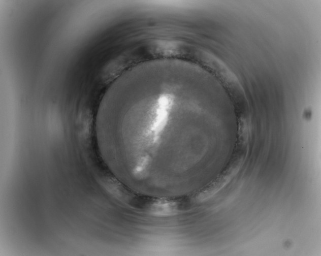 X0000102410760200808152005