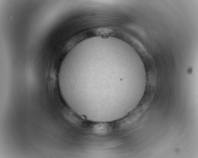 X0000102410761200808152005