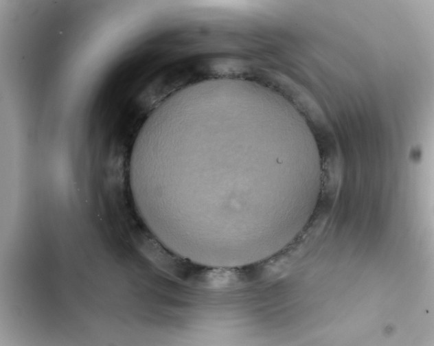 X0000102410762200808152005