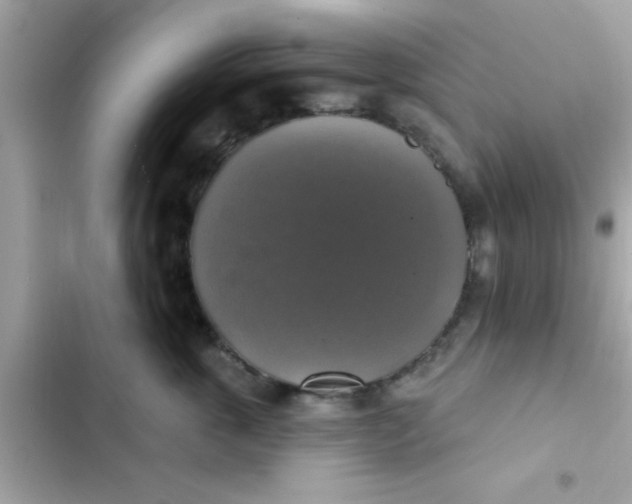 X0000102410763200808152005