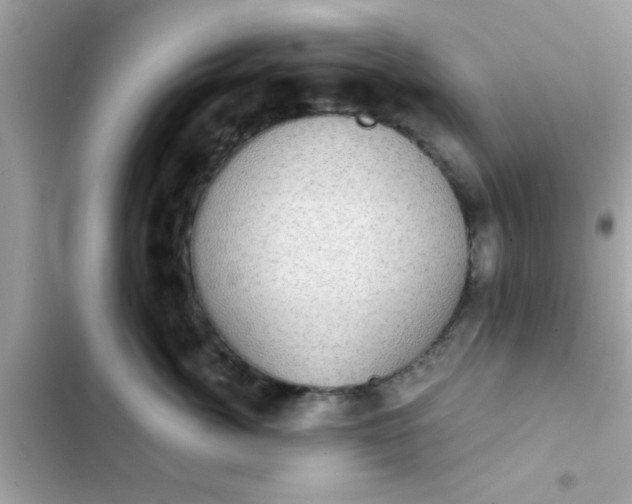 X0000102410764200808152005