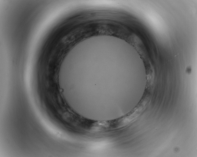 X0000102410765200808152005