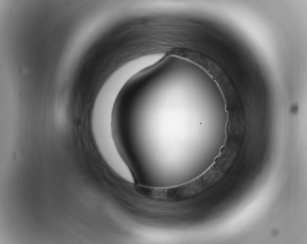 X0000102410766200808152005