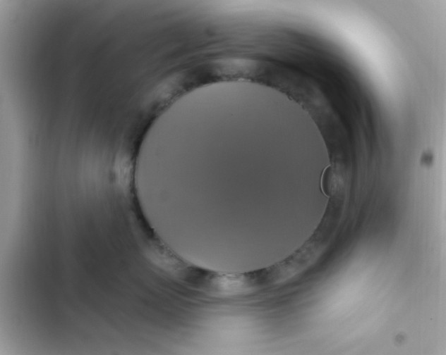 X0000102410767200808152005