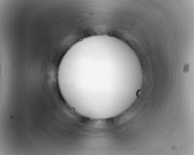 X0000102410768200808152005