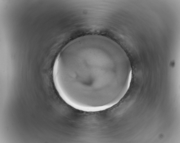 X0000102410769200808152004