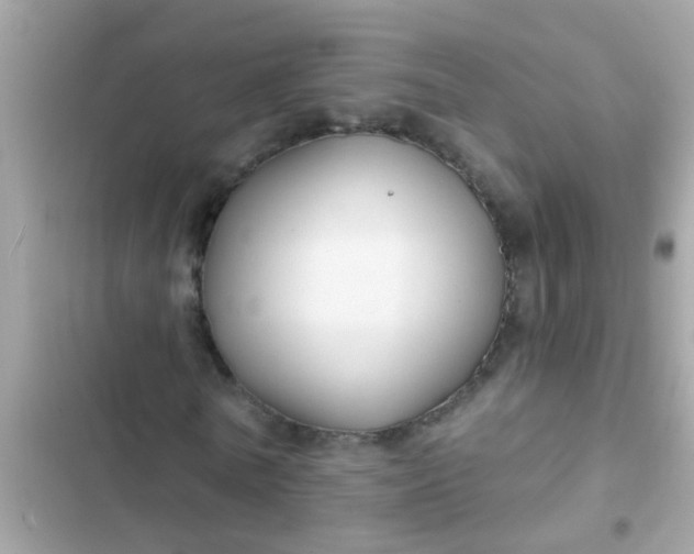 X0000102410770200808152004