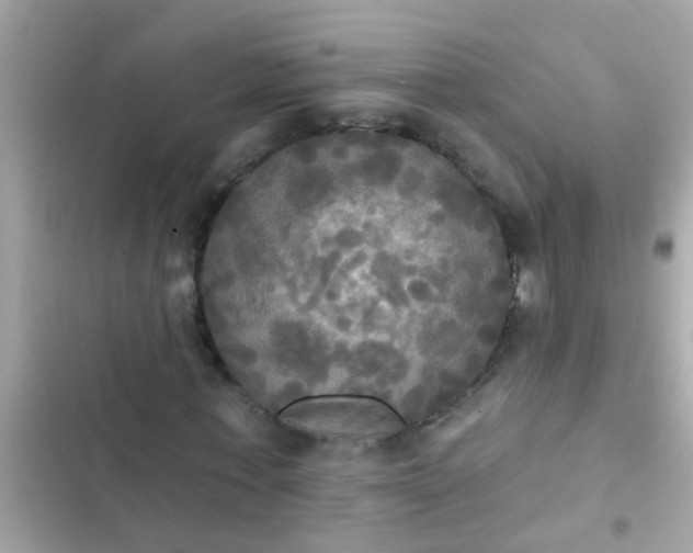 X0000102410771200808152004