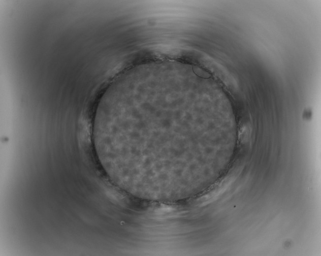 X0000102410772200808152004