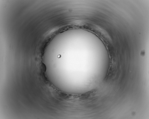 X0000102410773200808152004