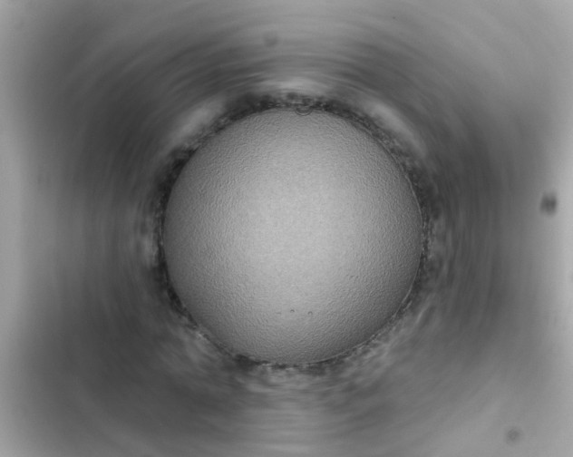 X0000102410774200808152004