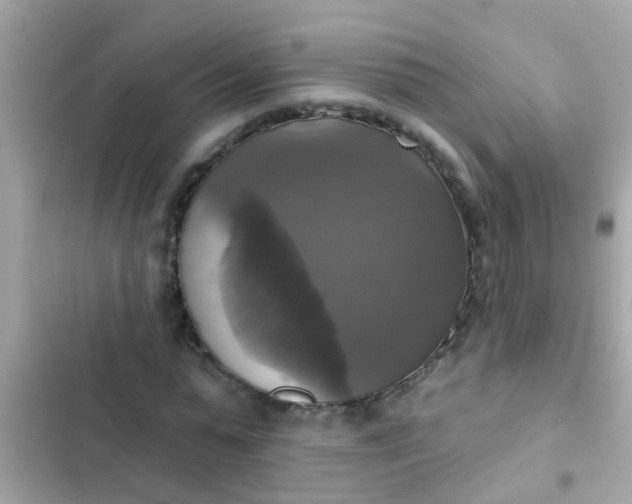 X0000102410775200808152004