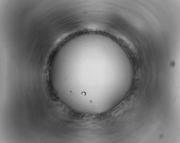 X0000102410776200808152004