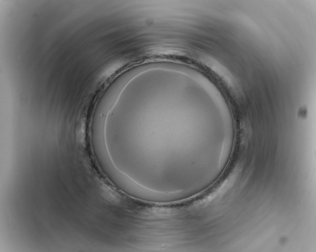 X0000102410777200808152004